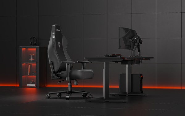 Ghế Gaming AndaSeat Novis Black AD23-L-01-B-PV