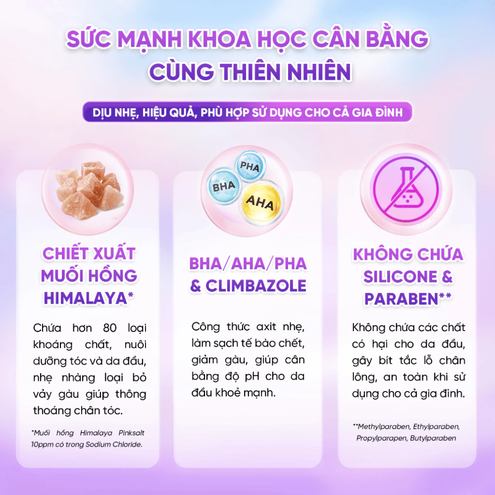  Dầu Gội Sạch Gàu, Mát Lạnh Bạc Hà Himalaya Pink Salt Anti-Dandruff Shampoo Cool Menthol 650ml 