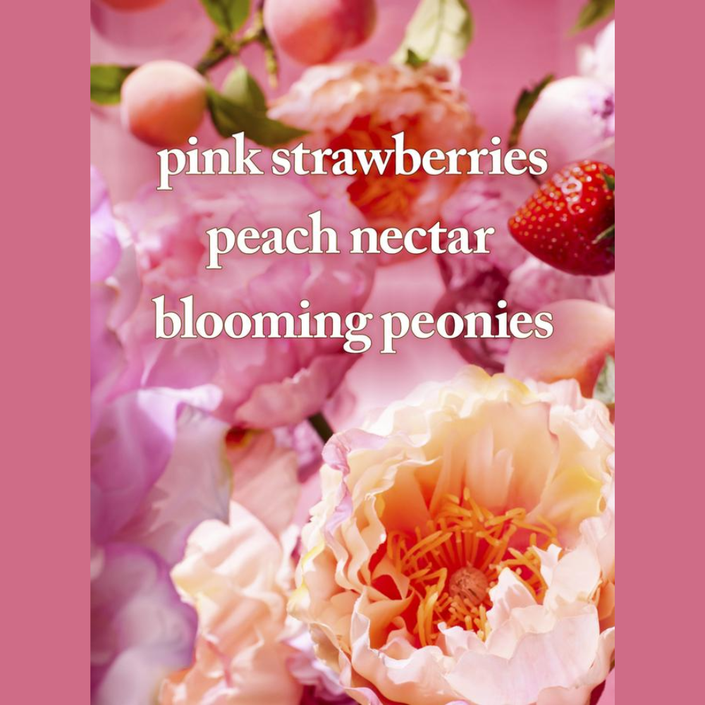  Gel Tắm Bath & Body Works Gingham Gorgeous Body Wash 295ml 