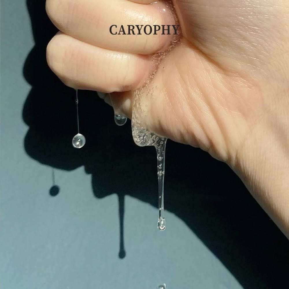  Set 10 Miếng Mặt Nạ 3in1 Giảm Mụn, Thâm & Dưỡng Ẩm Da Caryophy Portulaca Mask Sheet 22g x 10 