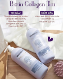  Bộ Dầu Gội Và Dầu Xả 2in1 Trị Gàu & Kiềm Dầu Biotin & Collagen Voudioty 1000ml (Tím) 