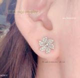  Bông Tai Tôn Chủ 3.6ly 