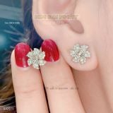  Bông Tai Tôn Chủ 3.6ly 