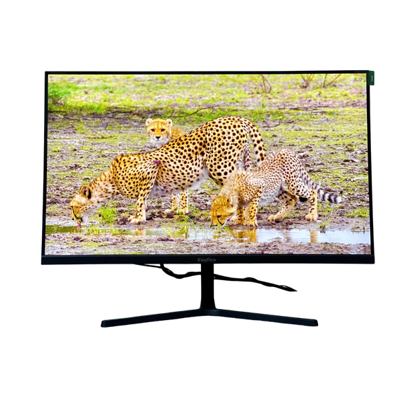 Màn hình KingView KV-2423HN 100Hz 24