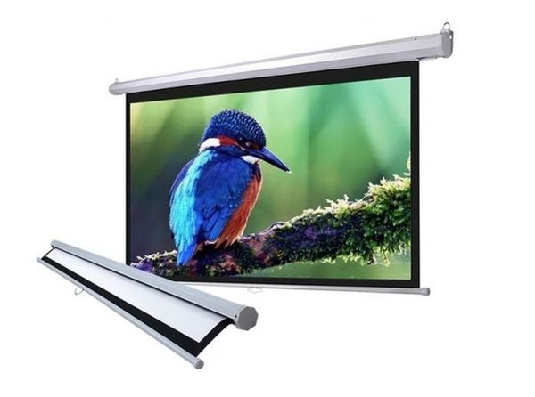 Màn chiếu treo tường Dalite PLW150WS