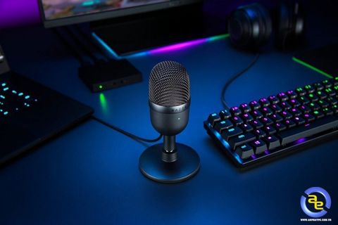 Micro Razer Seiren Mini