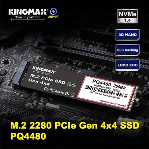 Ổ cứng SSD KINGMAX PQ4480 250GB NVMe M.2 2280 PCIe Gen 4x4