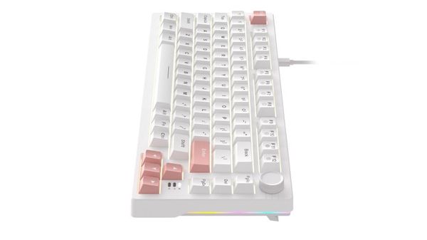 Bàn phím cơ DareU EK75 Full White DareU Firefly switch