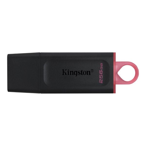 Usb Kingston DataTraveler 256GB USB 3.2 Exodia  (DTX/256GB)