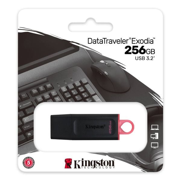 Usb Kingston DataTraveler 256GB USB 3.2 Exodia  (DTX/256GB)