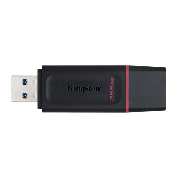 Usb Kingston DataTraveler 256GB USB 3.2 Exodia  (DTX/256GB)