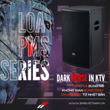 Loa Karaoke Pro BMB PMS Series - PMS 15