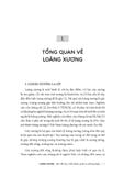  Loãng Xương - Dịch Tễ Học, Chẩn Đoán, Quản Lý, Phòng Ngừa - Nguyễn Văn Tuấn 