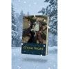  Ethan Frome - Edith Wharton 