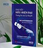  Thuyết Siêu - hiện đại - Tương lai của Lý thuyết, Metamodernism: The Future of Theory 