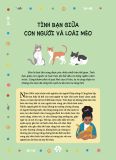  Câu Chuyện Về Loài Mèo - Những Câu Chuyện Có Thật Về Các Chú Mèo Phi Thường 