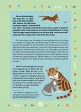 Câu Chuyện Về Loài Mèo - Những Câu Chuyện Có Thật Về Các Chú Mèo Phi Thường 