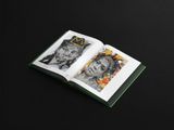  Những Tầng Ký Ức - Layers Of Memory - Ấn Bản Giới Hạn - Bìa Cứng 