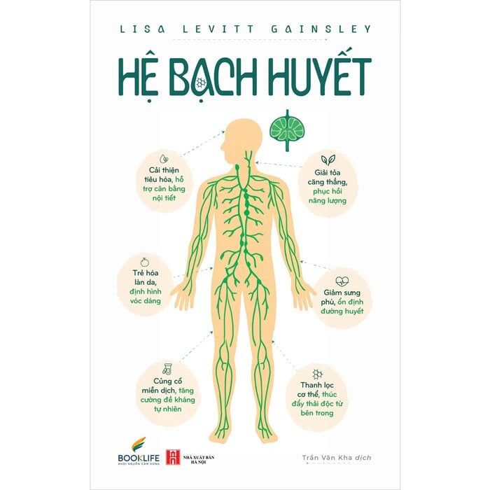  Hệ Bạch Huyết - Lisa Levitt Gainsley 