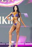  Thiết kế bikini/wellness 