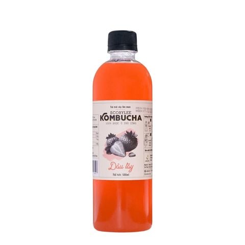  [B] Kombucha Dâu Tây 500ML 