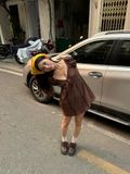  Esme Brown Dress 