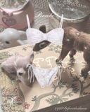  Bambi Bikini Set ( only Top + Bottom ) without skirt 