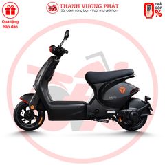 Xe đạp điện Yadea iCandy