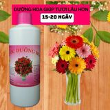 Nước Cắm Hoa Giúp Hoa Tươi Lâu, Không Thối Nước - Không Cần Thay Nước Chai 500ml.