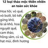 Gói 12 Loại Thảo Mộc 100gr - Xông Nhà, Tẩy Uế, Lau Bàn Thờ, Sàn Nhà, Khử Mùi Thơm Phòng, Xả Xui.
