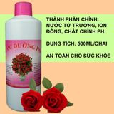 Nước Cắm Hoa Giúp Hoa Tươi Lâu, Không Thối Nước - Không Cần Thay Nước Chai 500ml.