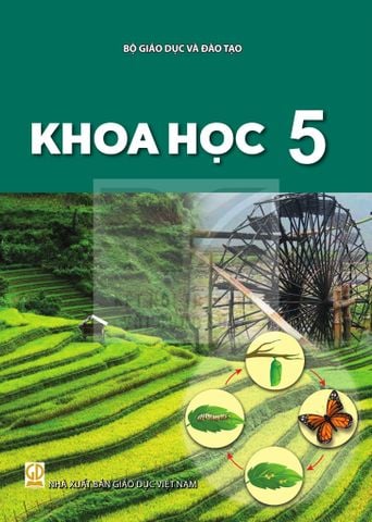 Sách giáo khoa - Khoa học 5 - Kết nối tri thức với cuộc sống