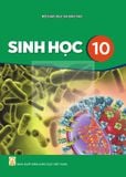 Sách giáo khoa - Sinh học 10 - Kết nối tri thức với cuộc sống