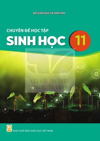 Sách giáo khoa - Chuyên đề học tập Sinh học 11 - Kết Nối Tri Thức Với Cuộc Sống