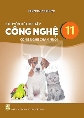 Sách giáo khoa - Chuyên đề học tập Công nghệ 11: Công nghệ chăn nuôi - Kết Nối Tri Thức Với Cuộc Sống
