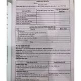 Sách tham khảo - Kế hoạch bài dạy môn Khoa học tự nhiên Lớp 6 (Bộ sách Chân trời sáng tạo)