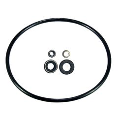 Bộ ron cao su làm kín bơm nước máy rửa chén  Winterhalter