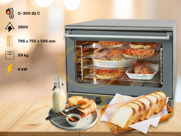 Lò nướng đối lưu Roller Grill FC 110 E