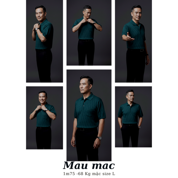 Áo polo nam trung niên cao cấp Thái Khang chất Mông Tơ Ghi ATK54