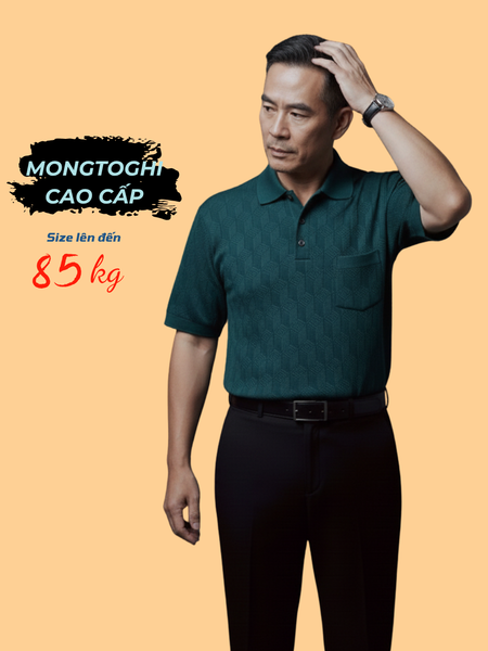 Áo polo nam trung niên cao cấp Thái Khang chất Mông Tơ Ghi ATK54