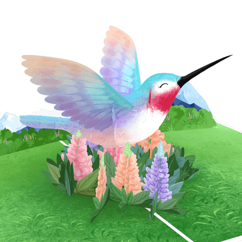  Hummingbird Lupine Pop Up Card 