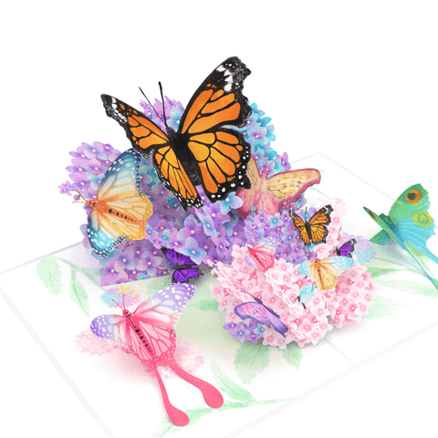  Butterfly Pop Up Card 