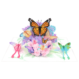  Butterfly Pop Up Card 