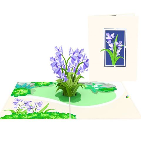  Bluebell Flowers Pop Up Card 