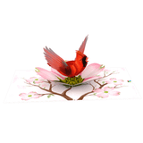  Cardinal Christmas Pop Up Card 