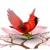  Cardinal Christmas Pop Up Card 
