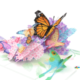  Butterfly Pop Up Card 