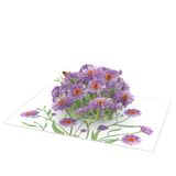  Aster Flowers Pop Up Card 