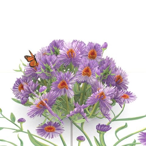  Aster Flowers Pop Up Card 
