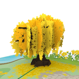  Cassia Fistula Pop Up Card 